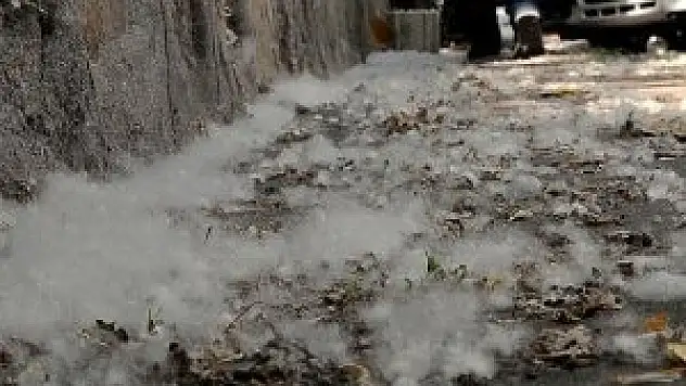 'Polenlerden rahatsızlık duymayın'