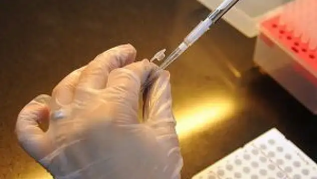 'Kök hücre tedavide çığır açacak'