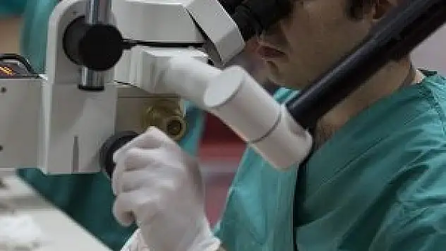 Yapay sinir sistemi geliştirildi