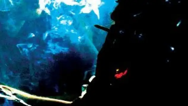 Sigara kadınlarda üreme sağlığını tehdit ediyor