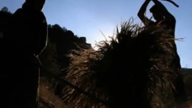 Güneydoğu çiftçisine enerji müjdesi