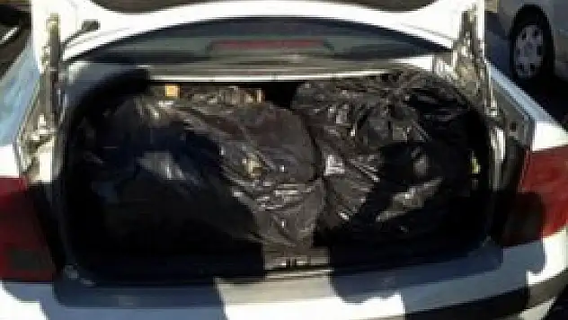 Konya'da esrar operasyonu