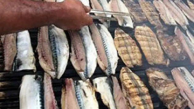 Haftada bir kez balık yemek koruyor