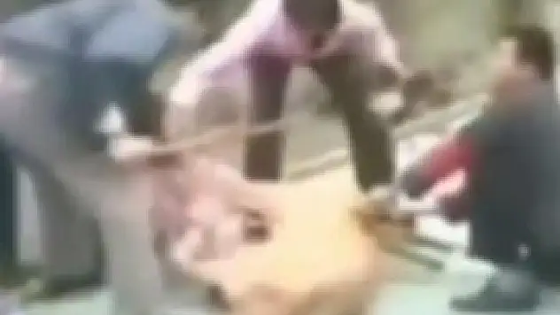 Hayvanat bahçesinde dehşet!