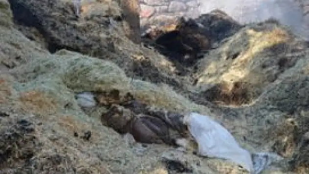 Akşehir'de samanlık yangını korkuttu