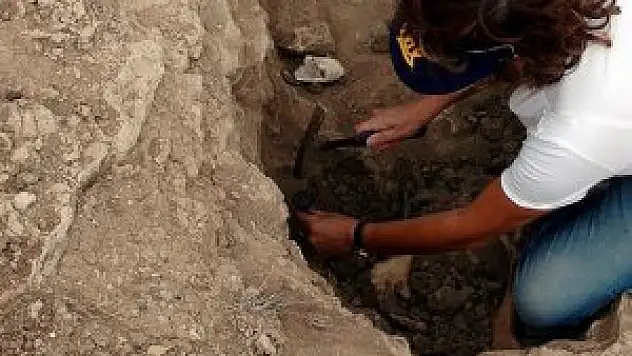 'Hobbitler'le ilgili yeni bulgu