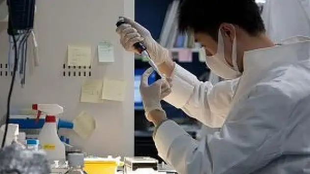 Bilim adamları CO2'yi taşa dönüştürmeyi başardı