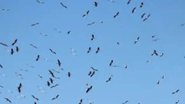Leylekler Vadisi sessizliğe büründü