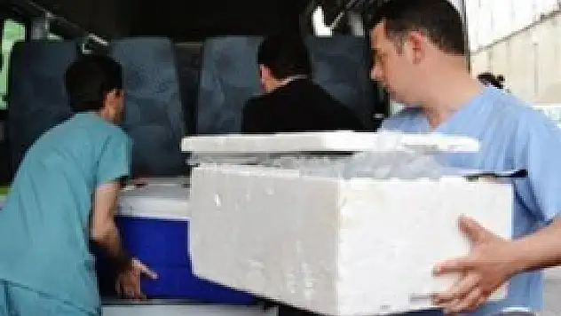 Türkiye canlıdan akciğer nakline hazırlanıyor