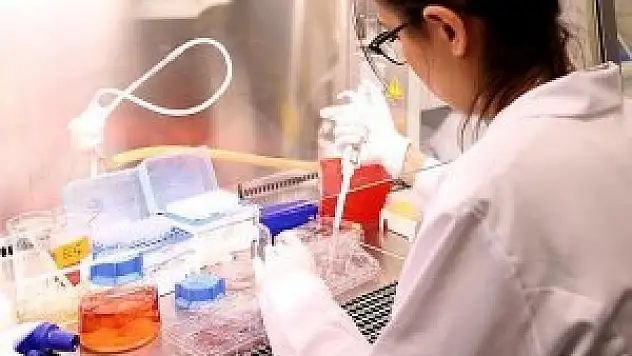 Dünyaca ünlü bilim insanları Türkiye'de sıtmayı tartışacak