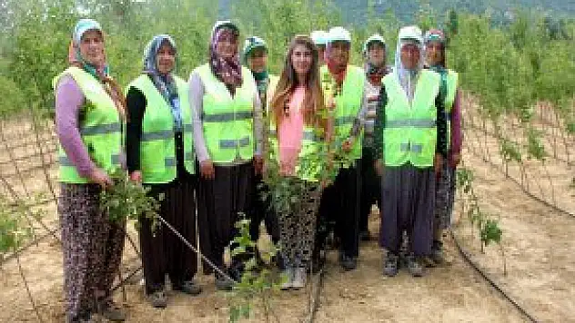Seydişehir'de hedef 2 milyon 500 bin fidan
