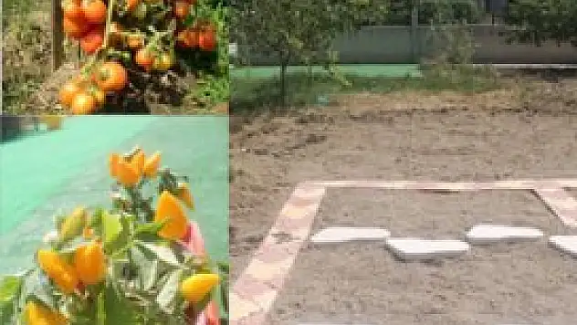 Bu kreşte minikler sebze yetiştiriyor