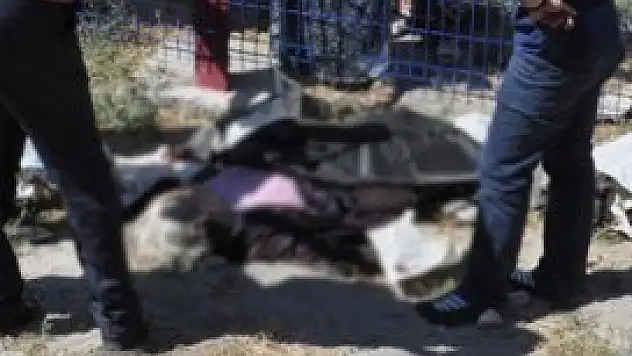 Konya'da trenin çarptığı kadın öldü