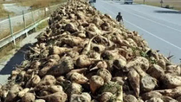 Pancar üreticisine 115 milyon liralık sulama avansı