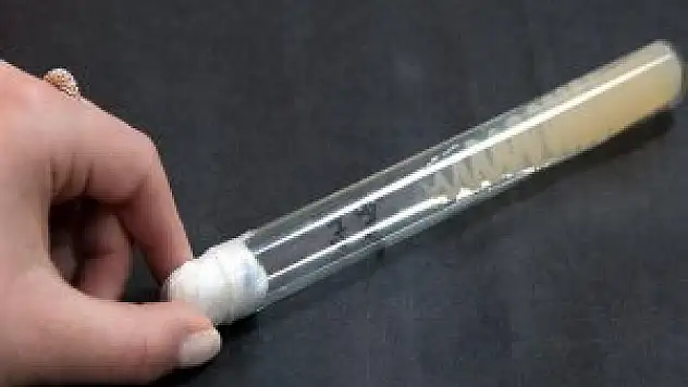 Trabzon ve Tunceli'de 'petrol tüketen bakteri'