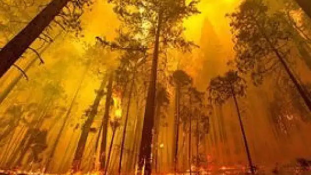 ABD'de Yosemite Milli Parkı yanıyor