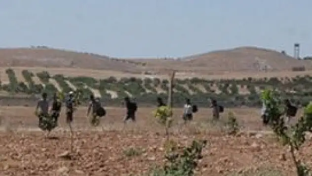 3 bin kaçakçıya müdahale!