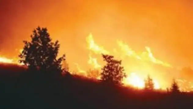 264 noktada eş zamanlı yangın