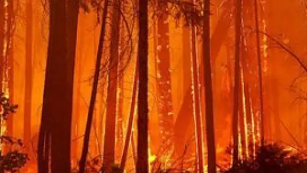Yosemite Milli Parkı'ndaki yangın büyüyor