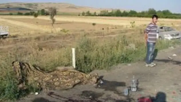 Otomobil devrildi 2 ölü 5 yaralı