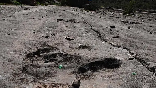 Bolivya'da bir dinozorun ayak izi bulundu