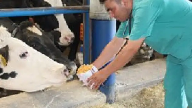 Hayvanlar için 'cips' ürettiler