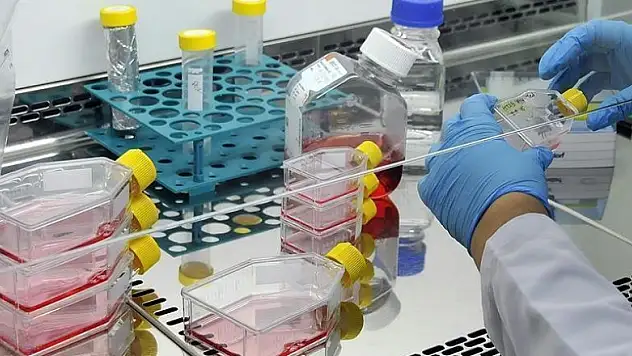 Sinir hücreleri kontrol edilerek hastalıklar iyileştirilecek