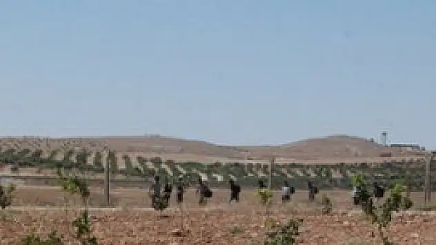 İki ayda 18 bin kaçak yakalandı