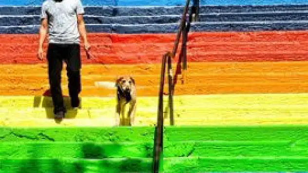 Merdivenler yeniden 'gökkuşağı'