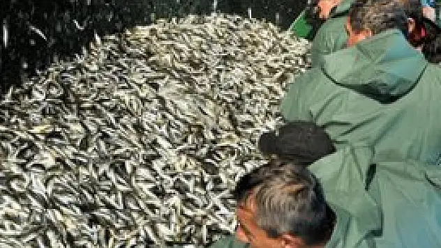 Balıkçılar 'Vira Bismillah' dedi