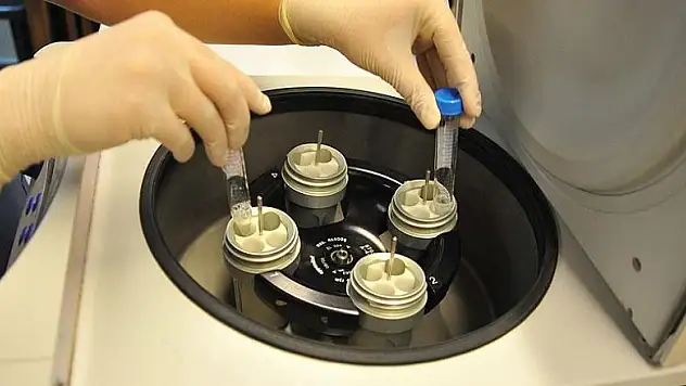 Kapatılan tüp bebek merkezindeki embriyolar nakledildi