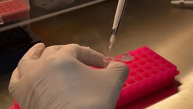 Nadir kanser türüne yakalanma nedeni bulundu