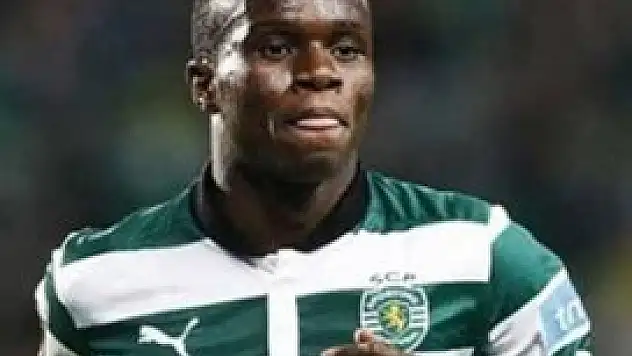 Bruma Aslan oluyor