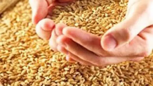 Konya'da hububat fiyatları