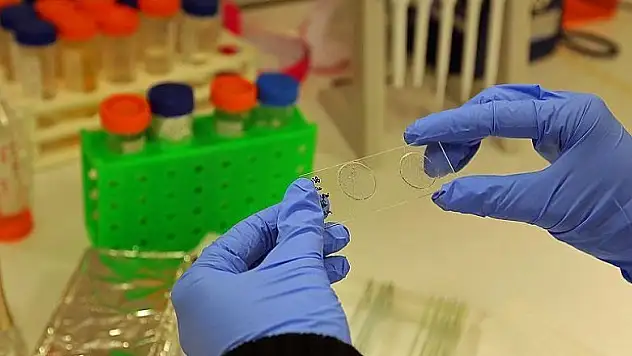 Virüsler sabahları daha tehlikeli