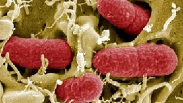 'Corona virüsü'nden ölümler artıyor