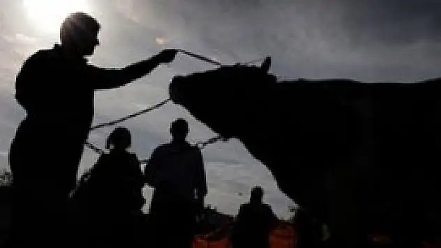 Kurbanda vekalet bedeli belli oldu