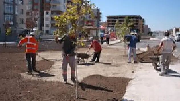 Karatay'da yeşil alan çalışmaları yoğunlaştı