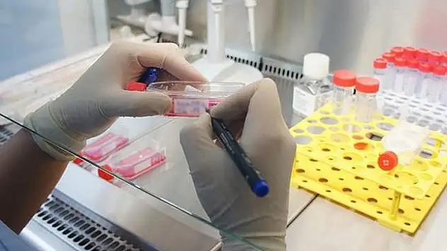 Biyolojik temelli ilaç geliştirme çalışmalarında önemli ilerleme