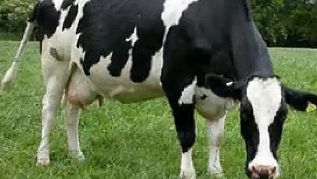 Konya Birinci Sırada