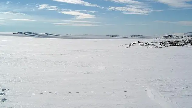 3,6 milyar yıl öncesine ait fosiller bulundu