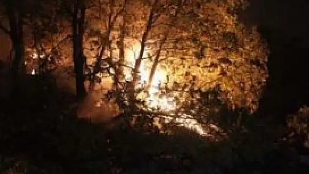 Konya'da orman yangını