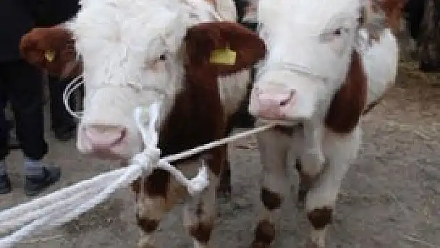 Kurban Bayramı tatili kaç gün olacak?