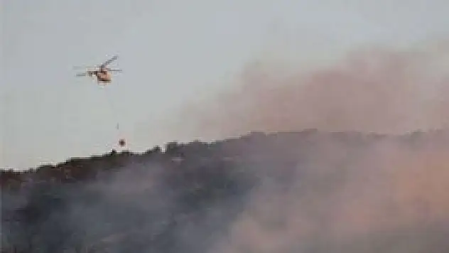 Beyşehir'deki orman yangını söndürüldü