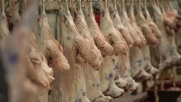 Kurban etini saklarken 'bakteriye' dikkat