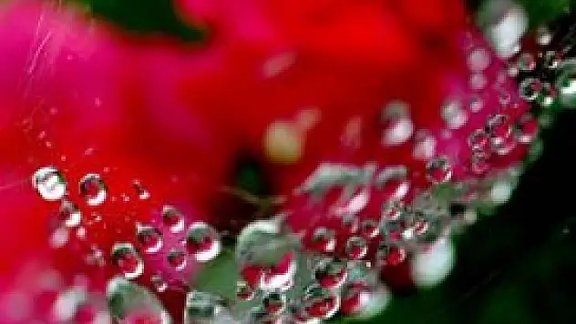 Su damlaları artık kontrol altında