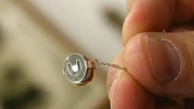 Ankara'da ''böcek'' operasyonu