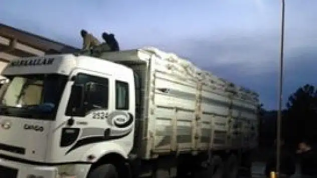 Konya'da kaçak sigara operasyonu