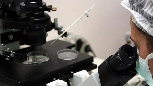 Dünyanın en dayanıklı hayvanının sırrı çözüldü