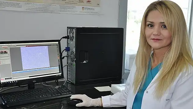 Sığırın kalp zarında kök hücre bulundu